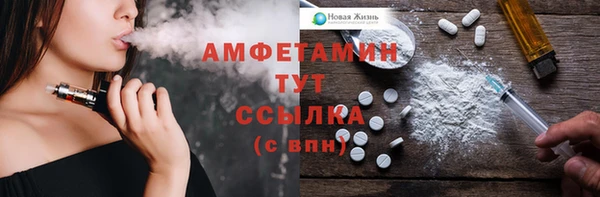 мдпв Каменка