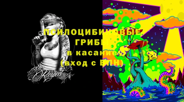 мдпв Каменка