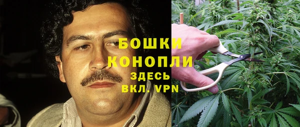 соль курить ск Каменногорск