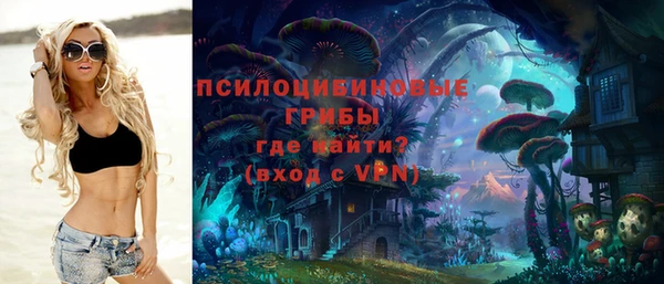 соль курить ск Каменногорск