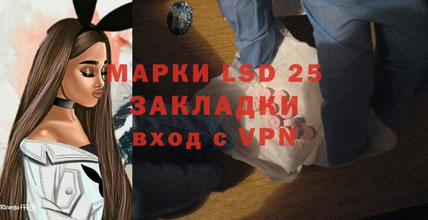 мдпв Каменка
