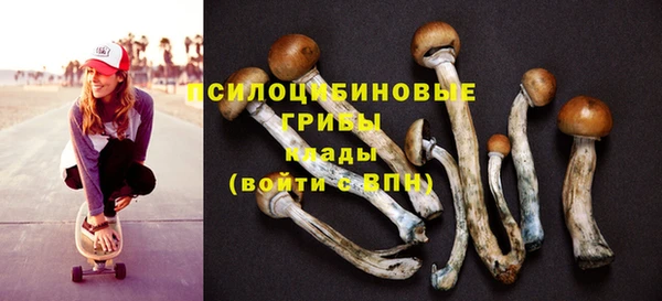 мдпв Каменка