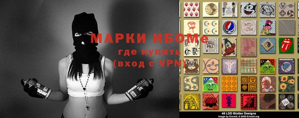 мдпв Каменка