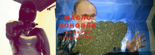 мдпв Каменка