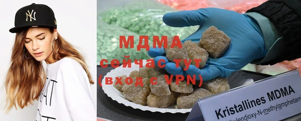 мдпв Каменка