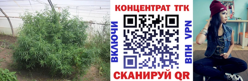 Дистиллят ТГК жижа  Купить где  Гаврилов Посад 