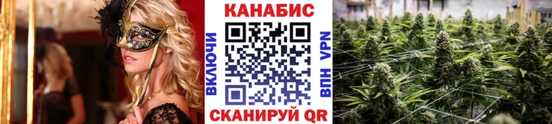 Марихуана гибрид Гаврилов Посад