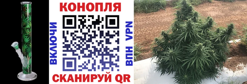 Канабис тримм  Купить закладки  Гаврилов Посад 